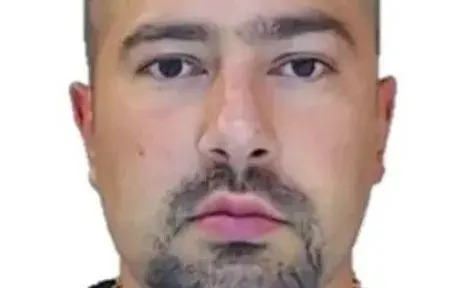 Kako je Švedska Slomila Bande — Ali Po Koju Cenu?