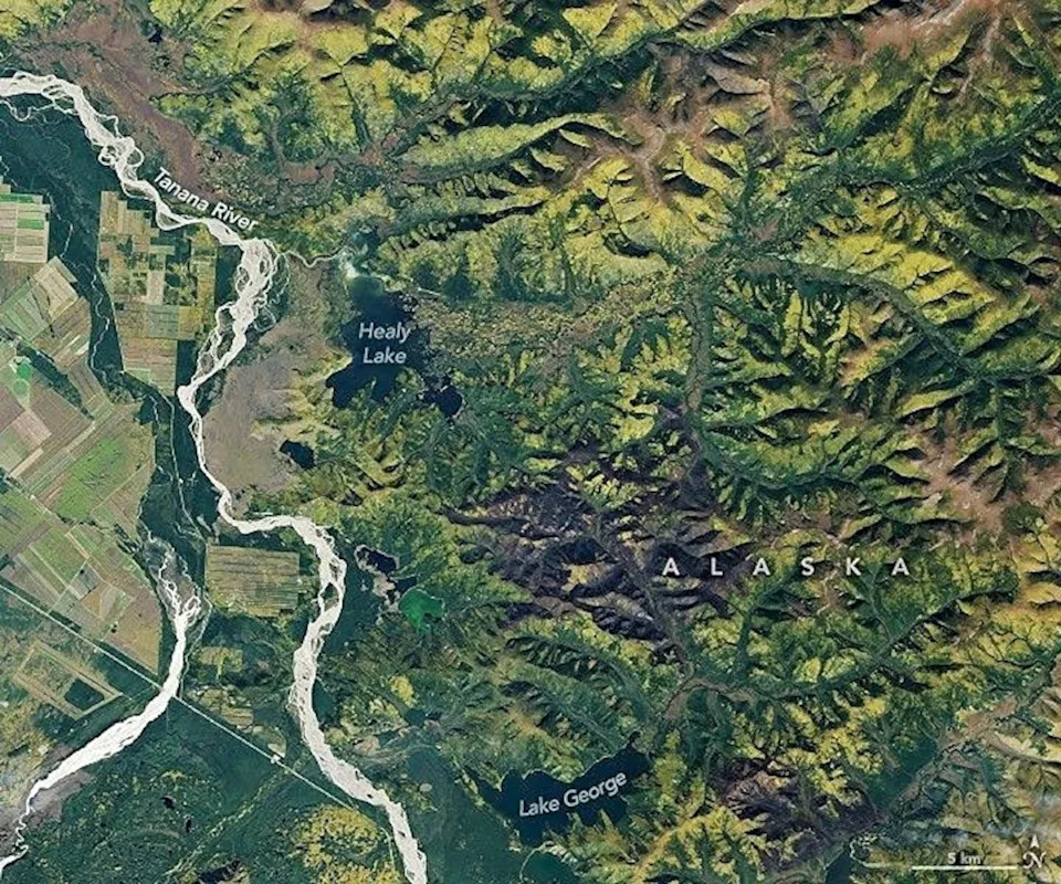 Zašto se borealne šume pomeraju ka severu — sateliti pokazuju +12% i veći kapacitet za skladištenje ugljenika