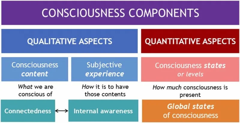 Skrivena uloga jezika u svesti — kako reči oblikuju doživljaj i oporavak mozga