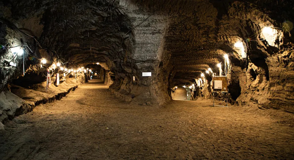 26 novih mikroba iz 40.000 godina starog permafrostu na Aljasci — potencijal za biotehnologiju u ekstremnoj hladnoći