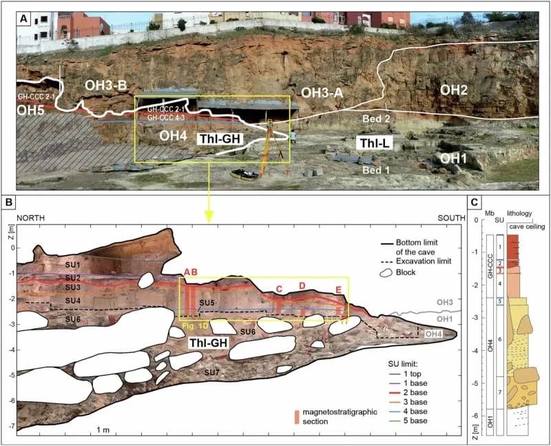 Marokanski fosili stari 773.000 godina: precizno datiranje i tragovi razdvajanja Homo, neandertalaca i denisovana