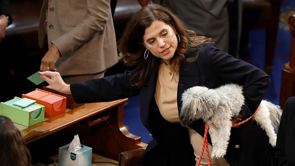 Rep. Nancy Mace Introduces Bill To Deport Undocumented Immigrants Convicted Of Animal Cruelty