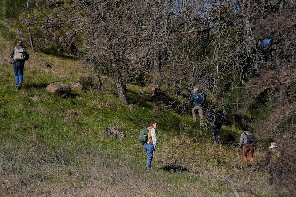 Više od pečurki: Kako građanski naučnici pomažu očuvanju gljiva