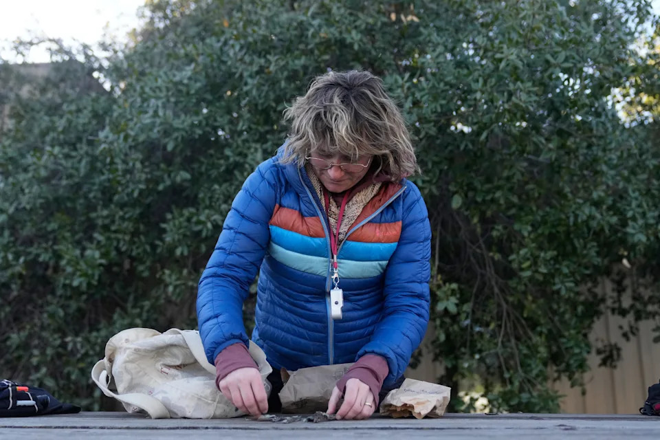 Više od pečurki: Kako građanski naučnici pomažu očuvanju gljiva