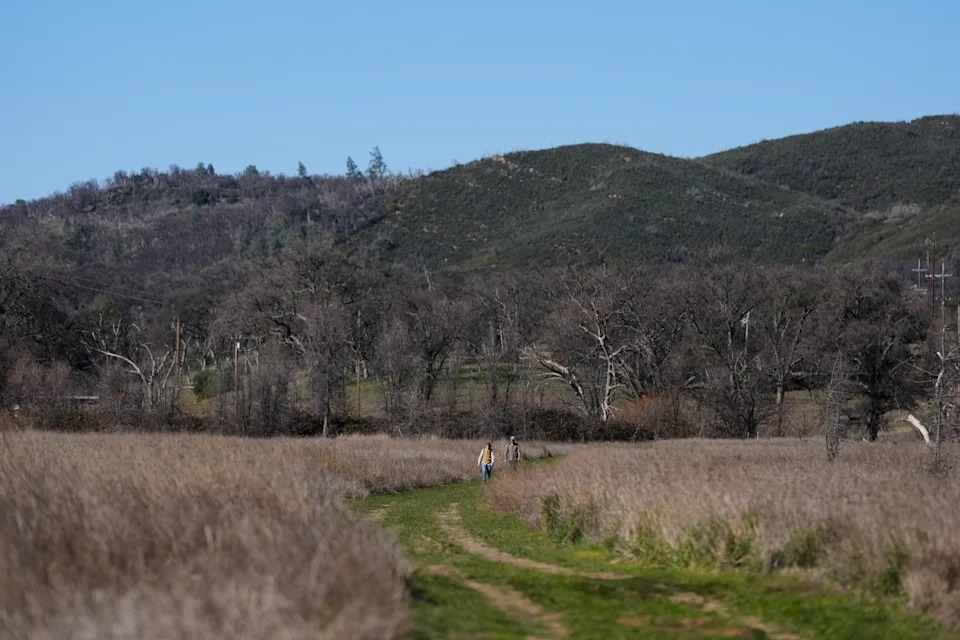 Više od pečurki: Kako građanski naučnici pomažu očuvanju gljiva