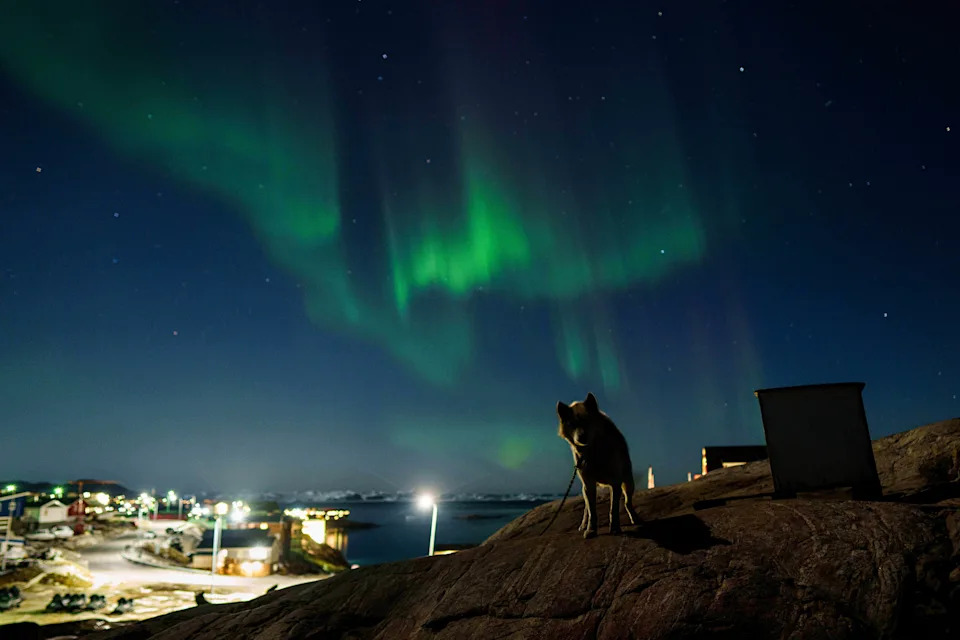 Melting Ice Threatens Greenland Dog-Sled Culture — and the World