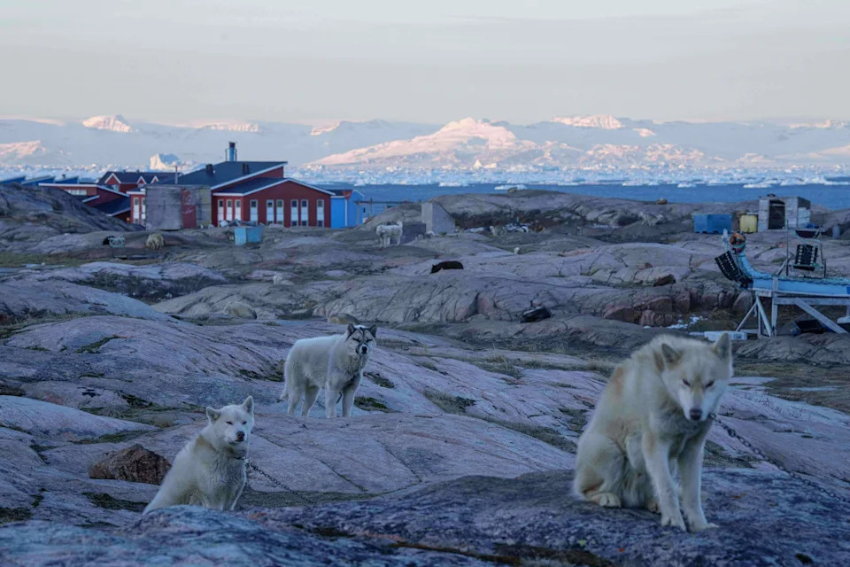 Melting Ice Threatens Greenland Dog-Sled Culture — and the World