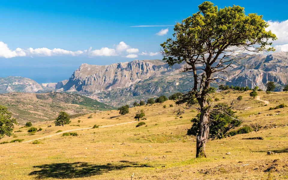 Tragedija u Nebrodima: Greška u Lovu Završila Trostrukim Ubistvom