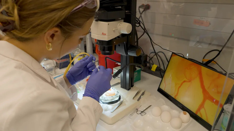 Colossal: De-izumiranje Kao Alat Za Konzervaciju, Ne Samo Naučni Šou