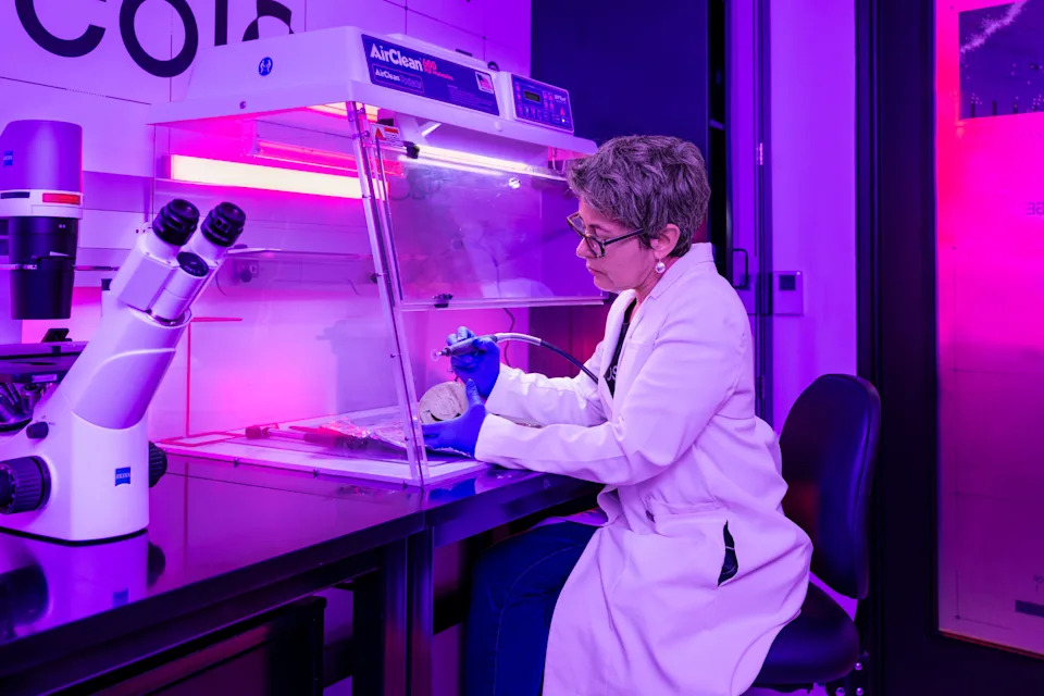 Colossal: De-izumiranje Kao Alat Za Konzervaciju, Ne Samo Naučni Šou