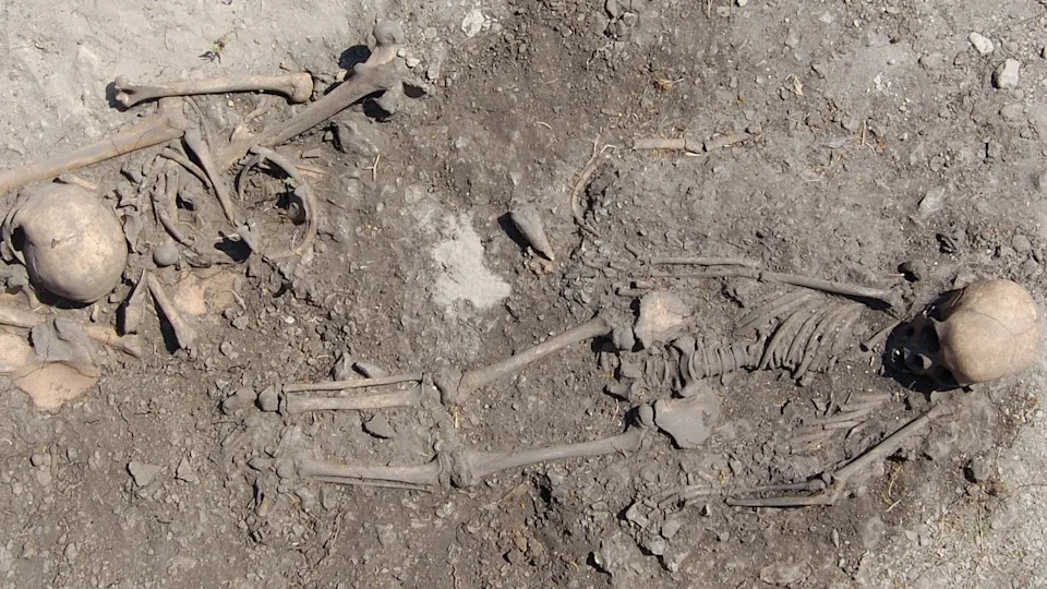 Pre 5.500 Godina Tinejdžerka Sahranjena Sa Očevim Kostima — DNK Otkriva Neobične Porodične Veze Na Ostrvu Gotland