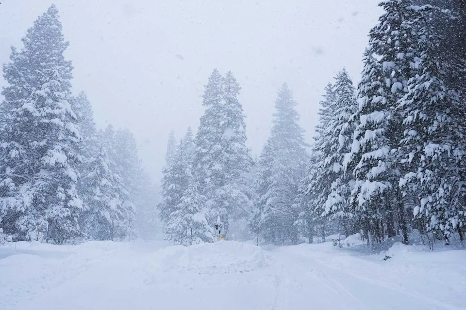 Avalanche Near Lake Tahoe: 10 Skiers Missing, 6 Survivors Shelter as Rescue Continues