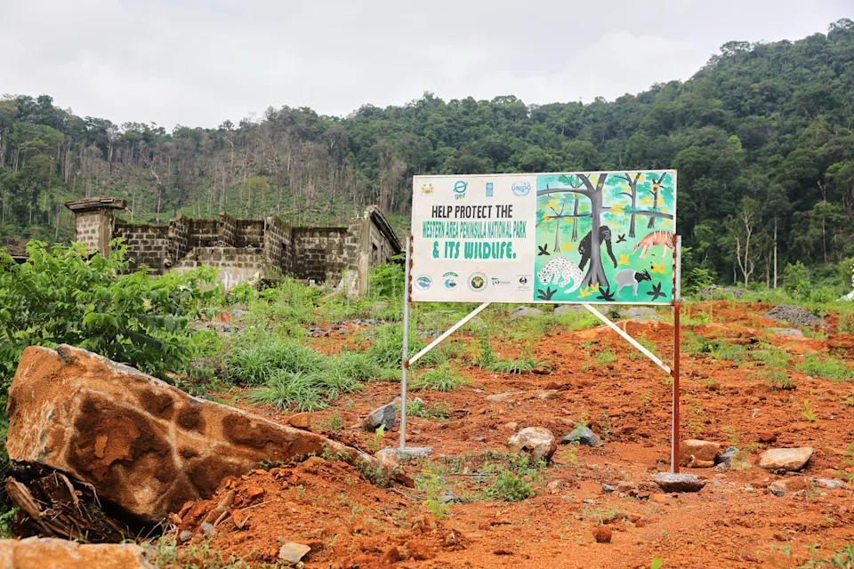 Exclusive Investigation: Senior Officials Enabled Luxury Mansions Inside Sierra Leone’s Western Area Peninsula National Park
