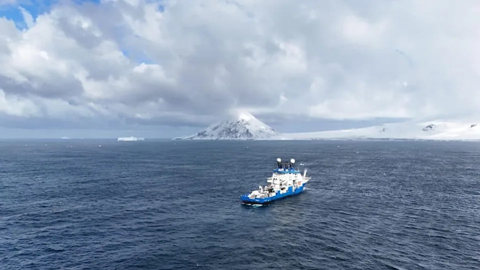 Spužva „Smrtonosna kugla“ Otkrivena u Južnom Okeanu: Novi karnivorni predator na 3.601 m