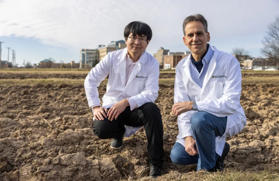 Otkriven Mehanizam Za Duže Korenje: Protein SRFR1 Može Povećati Otpornost Na Sušu