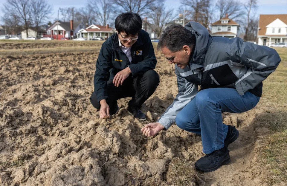 Otkriven Mehanizam Za Duže Korenje: Protein SRFR1 Može Povećati Otpornost Na Sušu