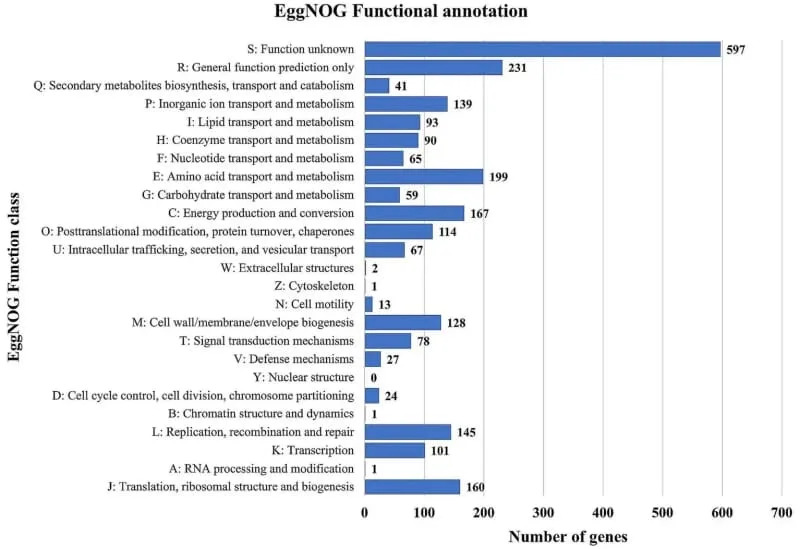 Praistorijska bakterija iz pećine: Psychrobacter SC65A-3 otporna na moderne antibiotike, ali i izvor novih supstanci