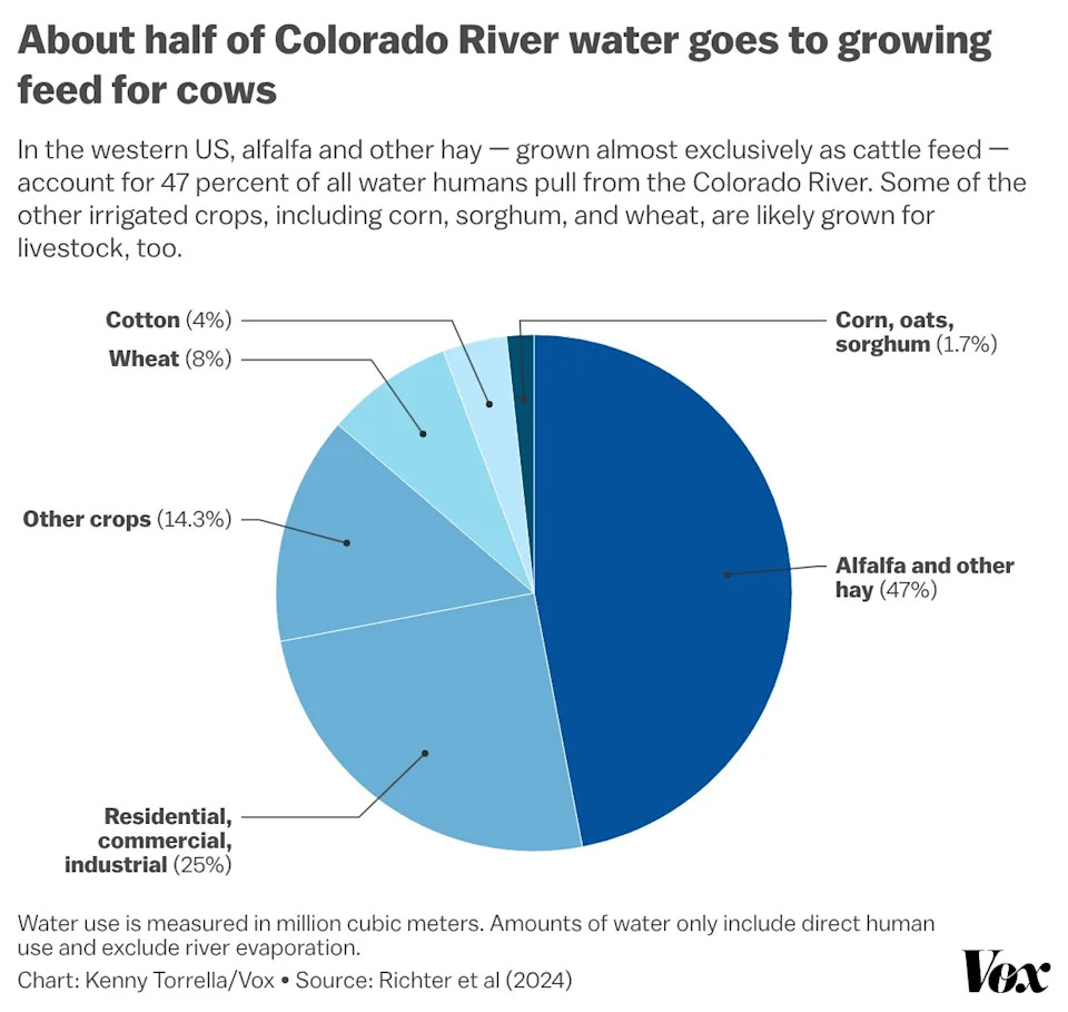Why the Colorado River Is Running Out of Water — And How Cattle Farming Drives the Crisis