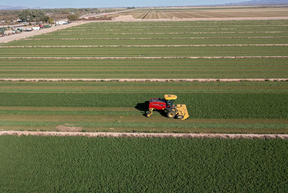 Why the Colorado River Is Running Out of Water — And How Cattle Farming Drives the Crisis