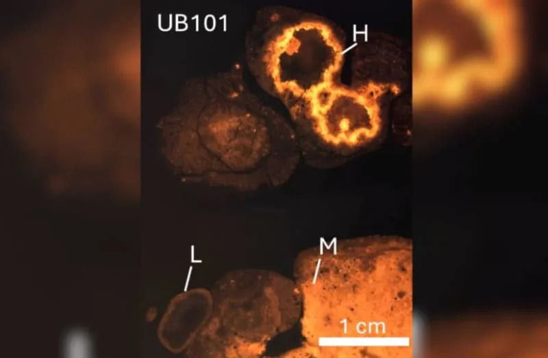 Novo datiranje Ubeidiye: Lokalitet u Jordanu Star Najmanje 1,9 Miliona Godina — Menja Priču O Migracijama Iz Afrike