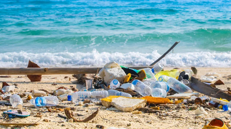 Čišćenje Plastike Iz Okeana Može Štetiti Neustonu — Zašto Masovno Uklanjanje Nije Uvek Rešenje