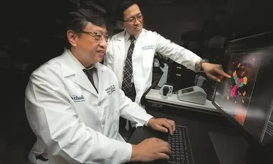 Periferna retina može otkriti Alchajmer ranije — studija na miševima otkriva rane ćelijske promene