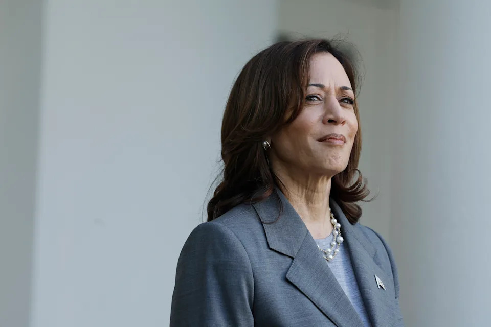 Readers Weigh Electability Versus Representation Ahead Of 2028: Who Would You Back?