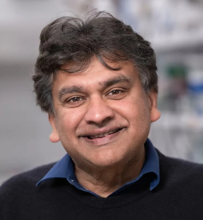 Nova nosna vakcina u miševa štiti pluća mesecima — protiv virusa, bolničkih bakterija i alergena