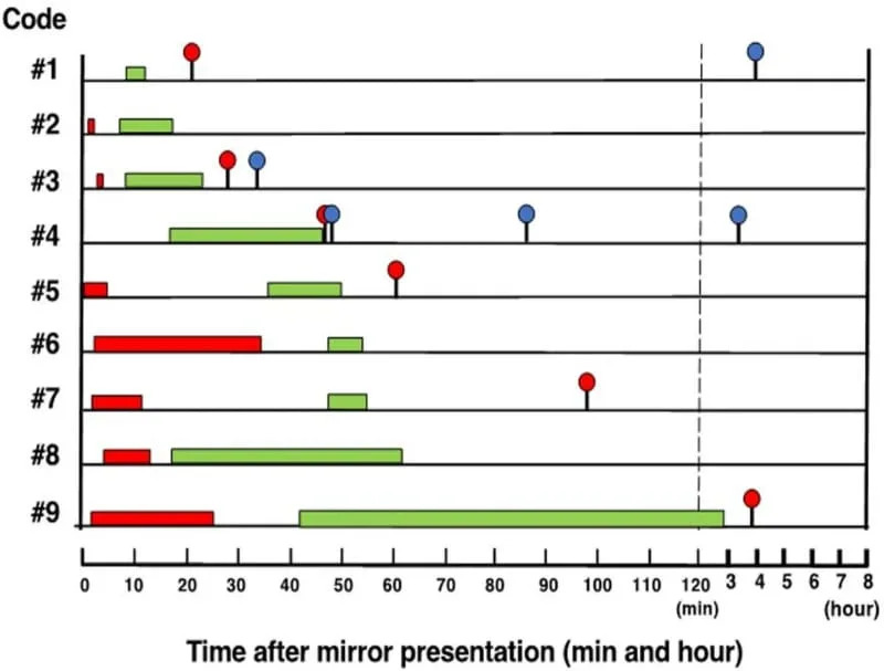 Ribe čistačice pokazuju znake samosvesti — ogledalo, kozica i ‘kontingencijsko’ ispitivanje