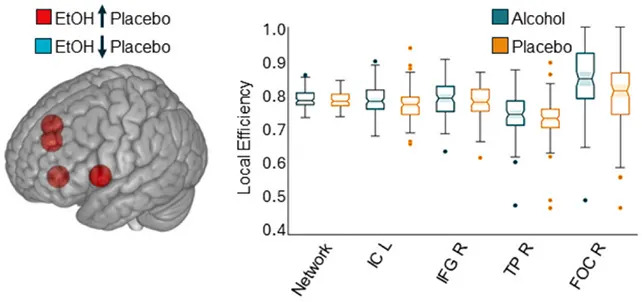 Samo Nekoliko Čaša Menja Kako Mozak 'Priča' Sa Sobom, Pokazalo Istraživanje
