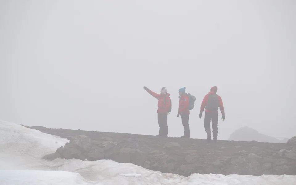 Britanski naučnici kopaju za drevnim patogenima u pingvinskom guanu na Antarktiku