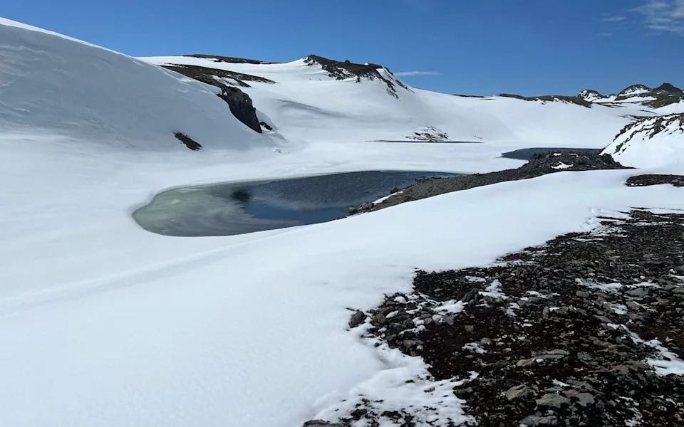 Britanski naučnici kopaju za drevnim patogenima u pingvinskom guanu na Antarktiku