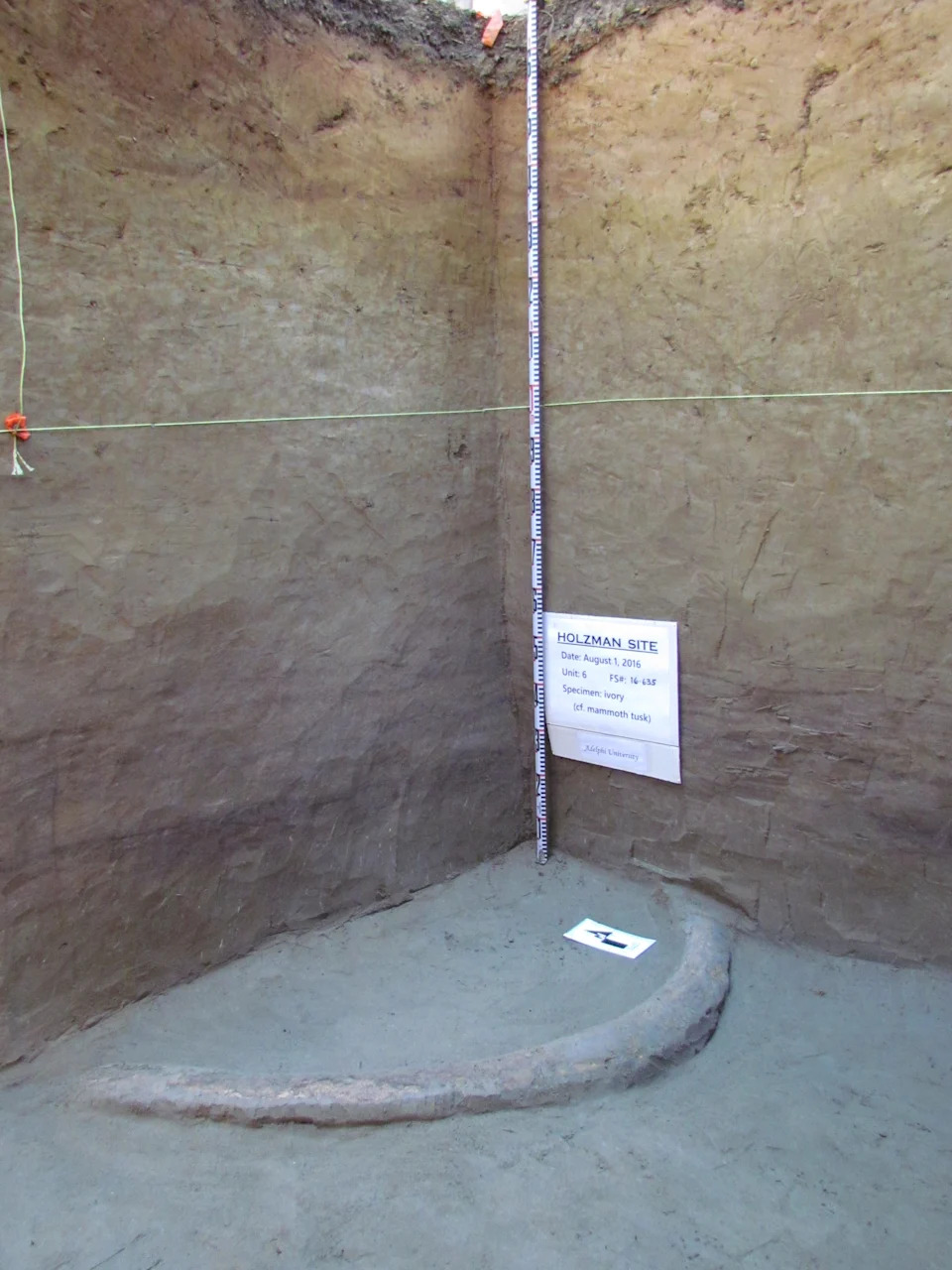 Alatke od mamutske slonovače stare 14.000 godina s Aljaske podržavaju unutrašnju rutu do Clovis kulture