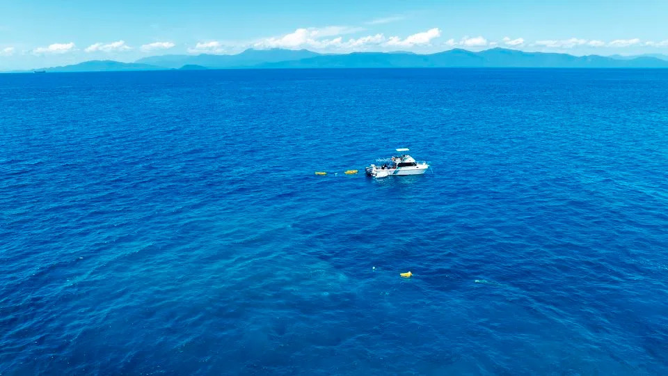 Majka i ćerka otkrile najveću dokumentovanu koralnu koloniju na svetu na Velikom koralnom grebenu