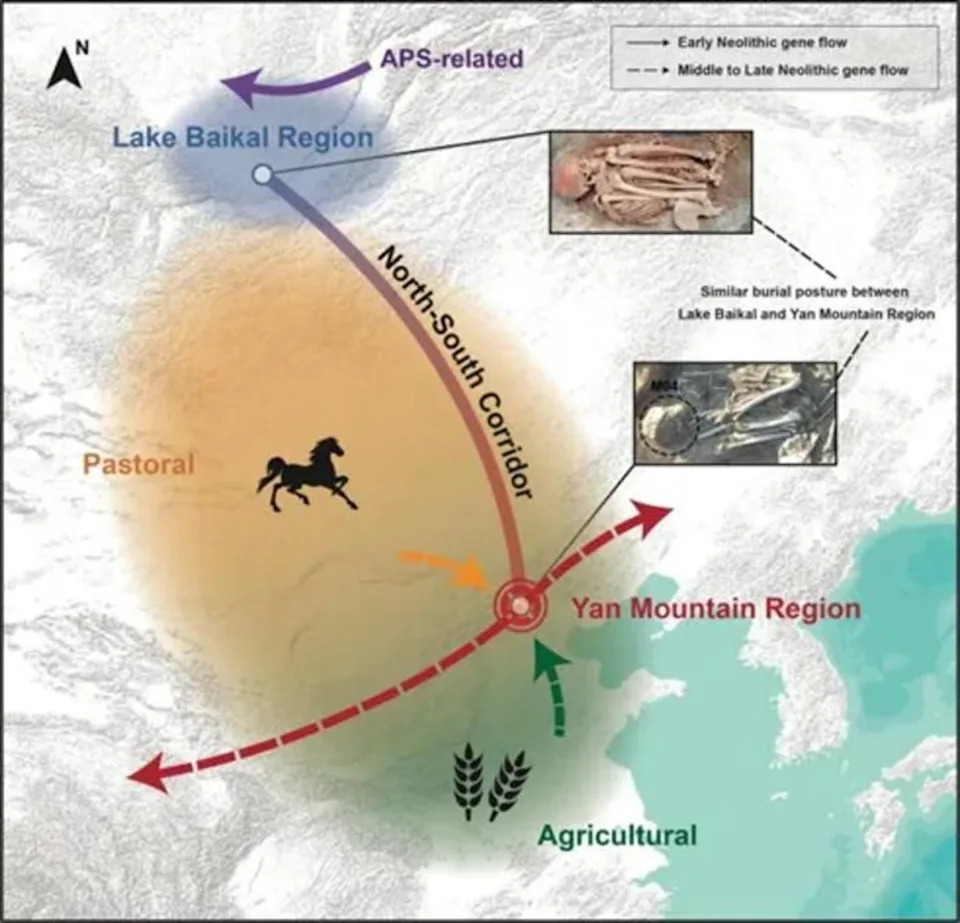 Drevna DNK Menja Istoriju Istočne Azije: Otkriven 