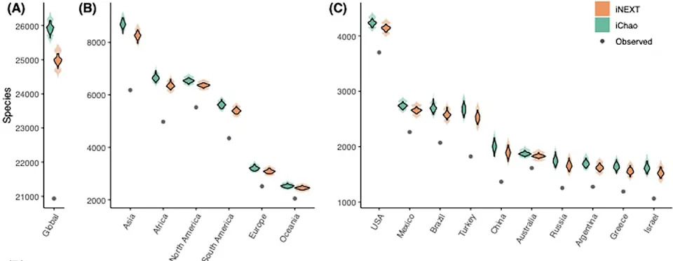 Mapa blaga za pčele: naučnici procenjuju 3.700–5.200 neotkrivenih vrsta