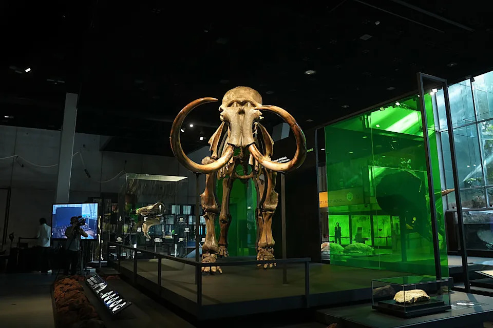 Ben Lamm I Colossal Biosciences: Kako Oživljavanje Vrsta Može Uticati Na Klimu