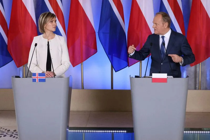 Island najavljuje referendum u narednim mesecima o ponovnom pokretanju pregovora sa EU