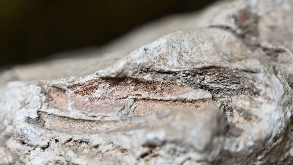 Retke rimske „gipsane“ sahrane u Jorku pokazuju: i bebe su bile oplakivane