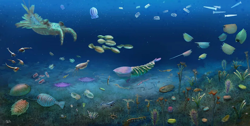 Otkriveno 50.000 Fosila i 91 Nova Vrsta u Jednom Kamenolomu u Kini — Huayuan Biota Osvetljava Oporavak Posle Sinsk Događaja