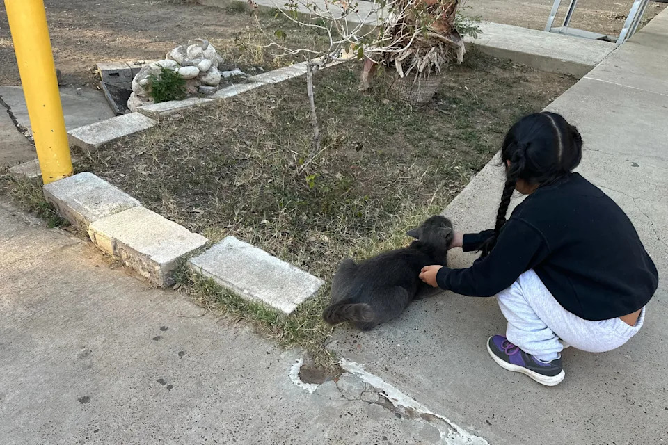 Crvi u hrani, loša medicinska nega i svetla 24/7: Porodice opisuju život u imigracionom centru Dilley (Teksas)