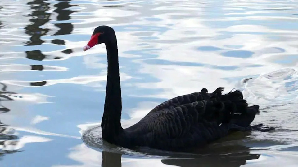 How Winter Flooding and Storms Are Devastating Wildlife Across the South West