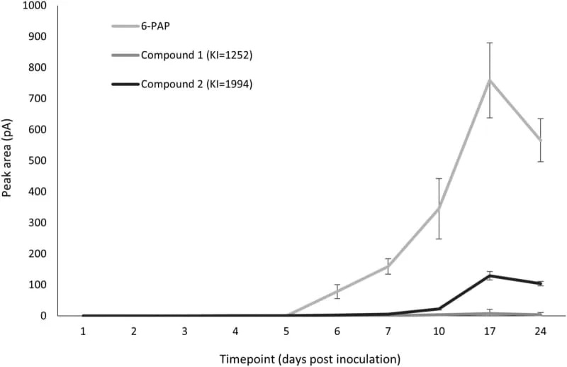 Prirodni štit iz zemlje: gljiva koja vazdušnim isparenjima zaustavlja opasne plesni