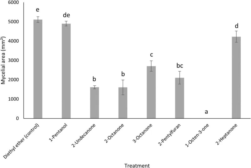Prirodni štit iz zemlje: gljiva koja vazdušnim isparenjima zaustavlja opasne plesni