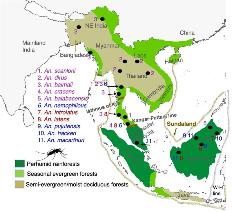 Ancient Taste For Humans: Mosquitoes May Have Evolved Human-Biting 1.6–2.9 Million Years Ago