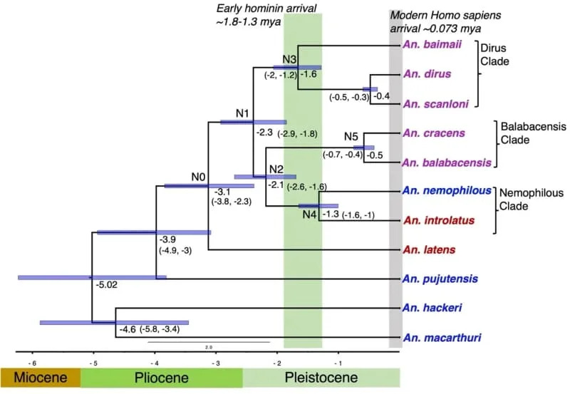 Ancient Taste For Humans: Mosquitoes May Have Evolved Human-Biting 1.6–2.9 Million Years Ago