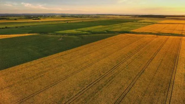 5 načina na koje biotehnologija već jača globalnu proizvodnju hrane