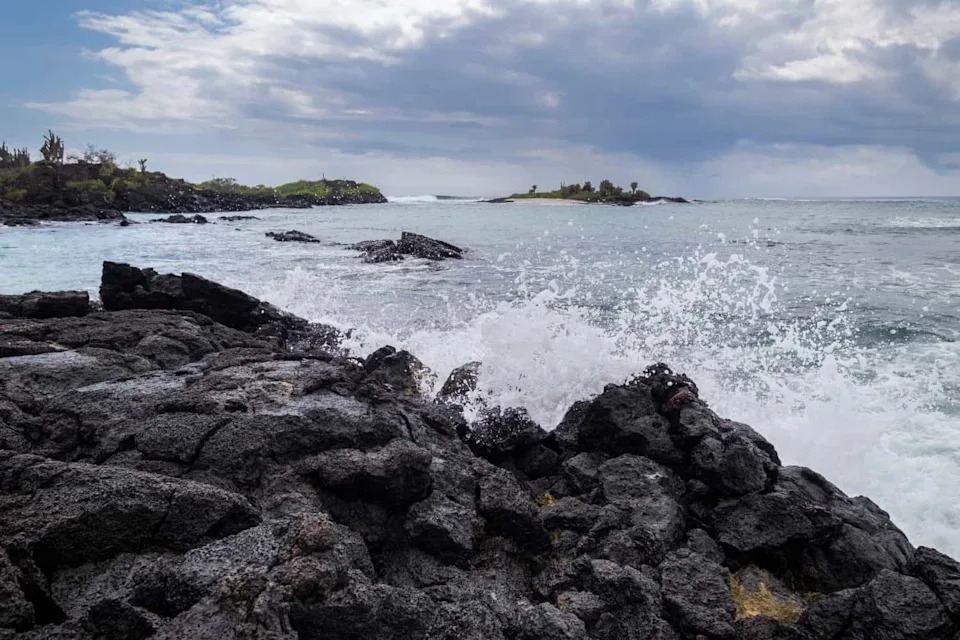Posle Skoro 200 Godina: 158 Mladića Divovskih Kornjača Vraćeno Na Ostrvo Floreana