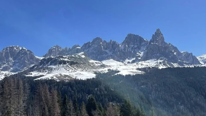 Smrče „Predvidele“ Pomračenje? Kontroverza Nakon Eksperimenta u Dolomitima