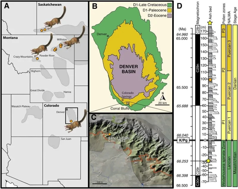 Tri Zuba Manja Od Zrna Pirinča Pomeraju Mapu Najranijih Srodnika Primata